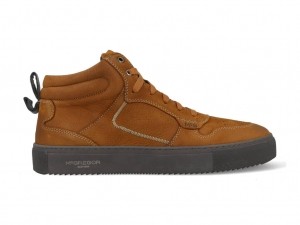 McGregorSneakers621300555-532Bruin-45maat45
