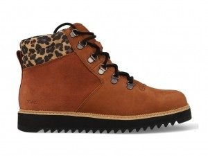 TomsMOJAVEBoot10016801Bruin-36maat36