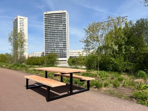 DouglashoutpicknicktafelTimometstalenEframe