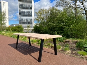 DouglastuintafelRonse
