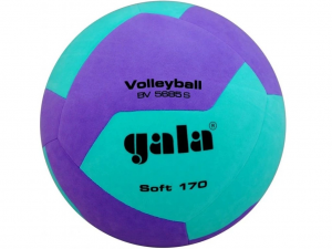 GalaVolleybalSoftJeugd170grBV5685