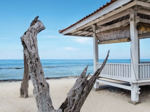 StrandBali70x50cmTuinschilderijCustomize-it-Customizeit