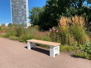 DouglasBankjeNisa
