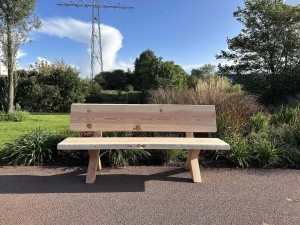 Douglasboomstamtuinbankjemetrugleuning