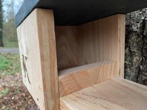 Kooprijk-Roodborst
