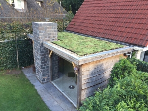 PlantenmatvasteplantencassetteVetkruidSedumdakprijsper1m2cmCovergreen-Covergreen