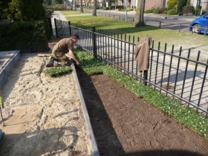 PlantenmatvasteplantenmaagdenpalmVincaAlbaprijsper1m2cmCovergreen-Covergreen