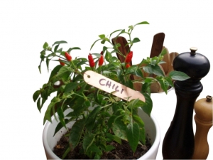 Hangetikettenkoper95cmseta6stuksNature-Nature