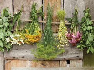 Bosjeskruiden70x50cmTuinschilderijCustomize-it-Customizeit