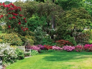 Bloementuin70x50cmTuinschilderijCustomize-it-Customizeit