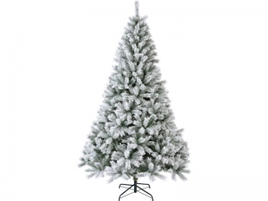 CanadaboomspruceH240D150cmgroenwitEverlands-Everlands