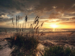 Strandavond70x50cmTuinschilderijCustomize-it-Customizeit