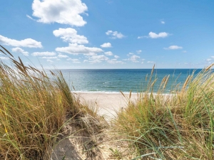 Strandduinen70x50cmTuinschilderijCustomize-it-Customizeit