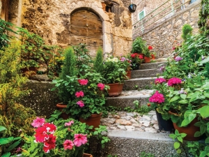 Trapmetgeraniums70x50cmTuinschilderijCustomize-it-Customizeit