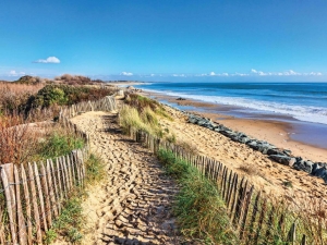 Zeegras70x50cmTuinschilderijCustomize-it-Customizeit