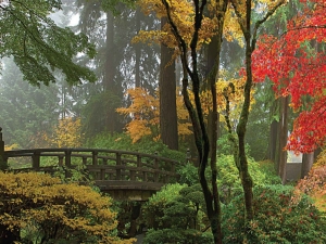 Brug70x50cmTuinschilderijCustomize-it-Customizeit