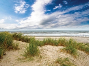 Strandwolk70x50cmTuinschilderijCustomize-it-Customizeit