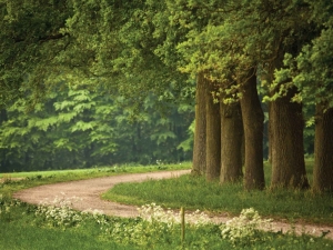 Drenpad70x50cmTuinschilderijCustomize-it-Customizeit