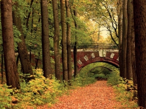 Bruginbos70x50cmTuinschilderijCustomize-it-Customizeit