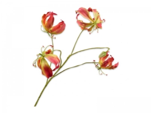 Gloriosasteell89cmgeelrozeSilk-Ka-Silkka