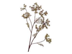 Dilletakl105cmlichtroze-Silkka