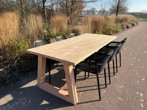 DouglashoutentafelGabemettrapezepoten