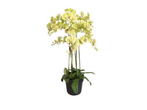 Orchideekunstplant9-tak110cmgroenBuitengewoondeBoet-Buitengewoondeboet