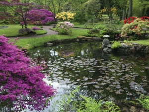 Aziatischetuin70x50cmTuinschilderijCustomize-it-Customizeit