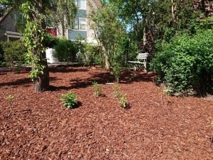 Franseboomschors20-40mm3m3bigbagWarentuinCollection-Warentuincollection