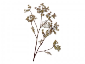 Dilletakl105cmlichtrozeSilk-Ka-Silkka