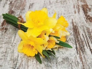 Narcisbosje70x50cmTuinschilderijCustomize-it-Customizeit