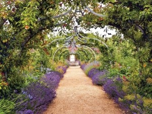 Lavendeltuin70x50cmTuinschilderijCustomize-it-Customizeit