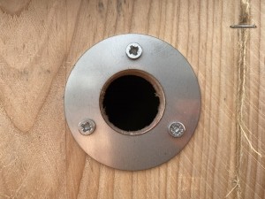 Kooprijk-Pimpelmees