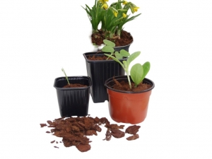 PlasticstekpotjesH7xdia95cmseta8stuksNature-Nature