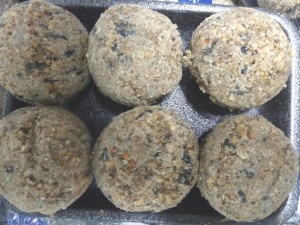 Vogelvoermezenbollen6stuks-Warentuinmix