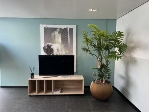 Eikenhoutentv-meubelRemco