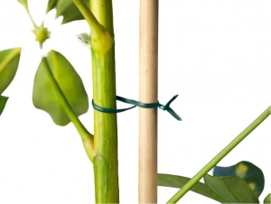 Bindbandgroenmetmetalenkerngeplastificeerd100mNature-Nature