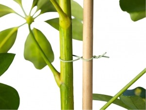 Binddraadgeplastificeerdmetaaldraadgroendia08mmx50mNature-Nature