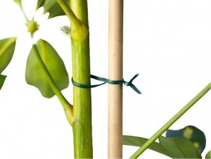 Bindbandgroenmetmetalenkerngeplastificeerd100m-Nature