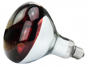 Lamp150WInfraroodHardGlas