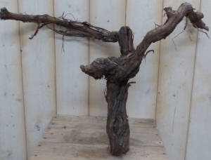 Decoratietakoudewijndruif-Warentuinmix