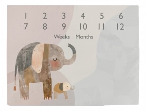 CebaBasicElephantFamily92x72cmMijlpalenSpeelkleedW-309-000-781