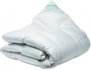 LenteHerfstdekbedCastellaPolarismet100Poolseganzendons