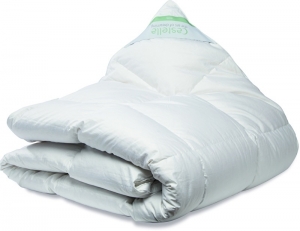 LenteHerfstdekbedCastellaPolarismet100Poolseganzendons