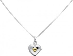 ClassicMore-colliermedaillon-zilver-hartmetgeelhart