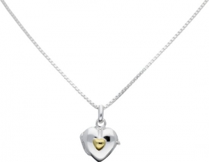 ClassicMore-colliermedaillon-zilver-hartmetgeelhart