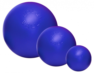 JollyBallPush-N-Play15CmBlauw