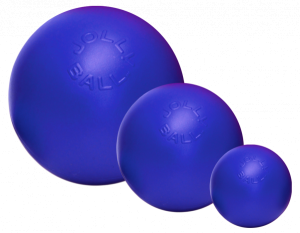 JollyBallPush-N-Play15CmBlauw