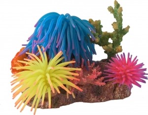 Siliconenbloem3xmetrotsenschelp15cmGebrdeBoon-Gebrdeboon