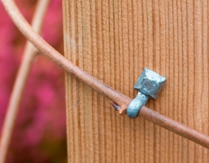 Takkengeleidersmetaalmaxdia10mmseta10stuksNature-Nature